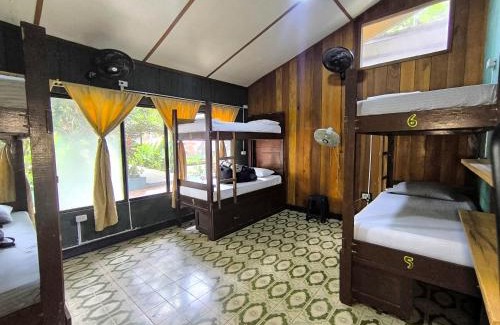 Leticia Hostel | Hostel Casa de las Palmas Tours