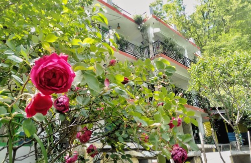 Old Manali Hostel | Hostel for backpackers around the world