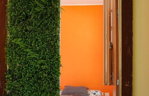 Sao Pedro House | Hostel Lavras - Sereno
