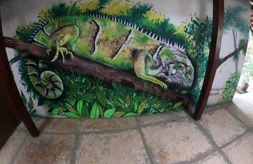 Barreirinhas Hostel | Hostel Lençóis Park