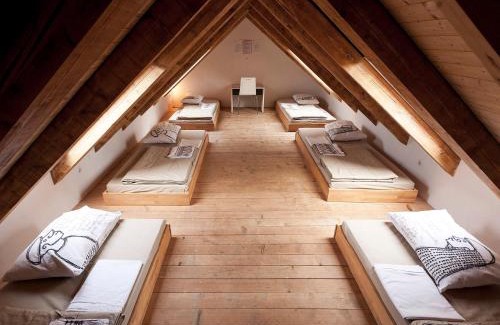 Novo Mesto Hostel | Hostel Situla