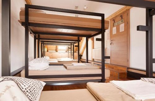 Novo Mesto Hostel | Hostel Situla