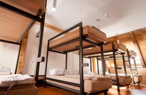 Novo Mesto Hostel | Hostel Situla