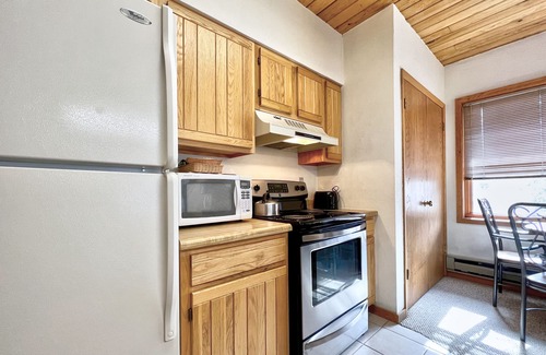 Crested Butte Condo | Hot Tub, Close Walk to the Slopes!