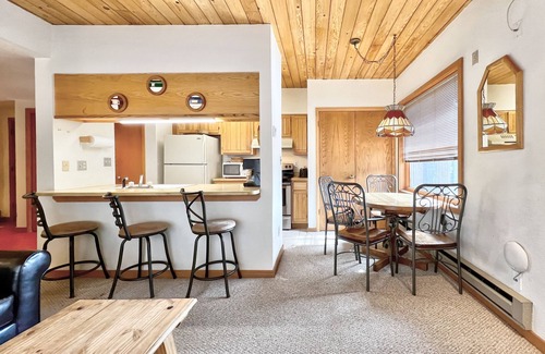 Crested Butte Condo | Hot Tub, Close Walk to the Slopes!