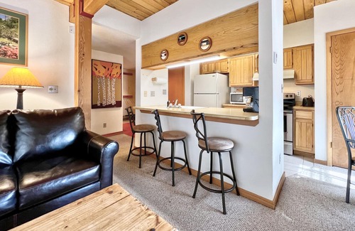Crested Butte Condo | Hot Tub, Close Walk to the Slopes!