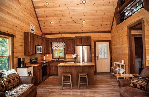 Blue Ridge Cabin | Hot tub, fire pit, and views! - Adore the S'mores