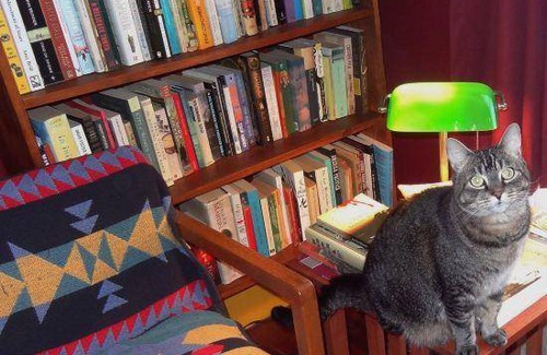 Brattleboro Hotel | Hotel ∙ 3 guests