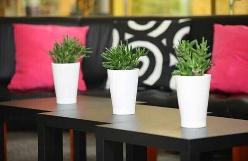 Tarnowo Podgorne Hotel | Hotel 500
