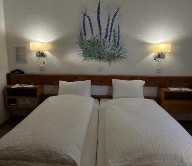 Zernez Hotel | Hotel Acla Filli