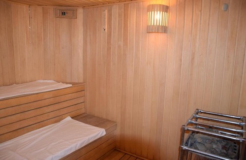 Aydarovskoe Hotel | Hotel Aeroport Plaza