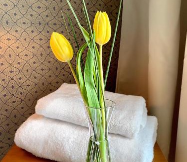 Duisburg Mitte Hotel | Hotel Akazienhof