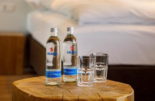 Kloten Apartment | Hotel Allegra Lodge