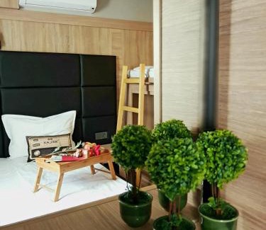Plovdiv Center Hotel | Hotel Allur