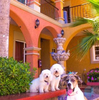 Loreto Hotel | Hotel Angra
