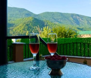 Ambrolauri Apartment | Hotel apartament in ambrolauri სასტუმრო აპარტამენტი ამბროლაურში