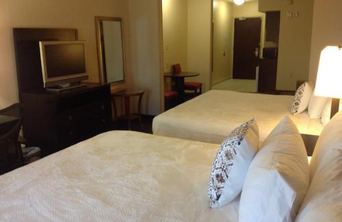 Northeast Hotel | Hotel Arboretum