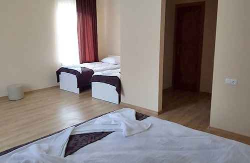 Bakurianis Andeziti Hotel | Hotel Babysito