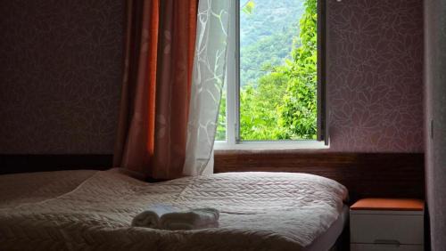 Lentekhi Hotel | Hotel Bakuna