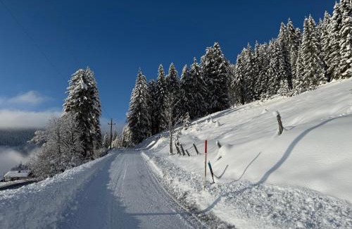 Filzmoos Bed & Breakfast | Hotel Bergglück