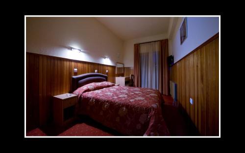 Metsovo Hotel | Hotel Bitouni