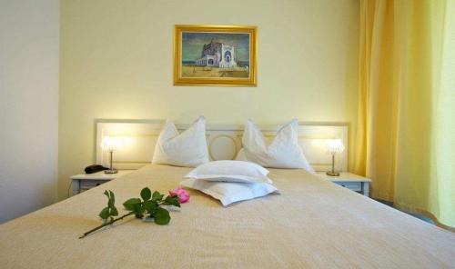 Constanta Hotel | Hotel Central