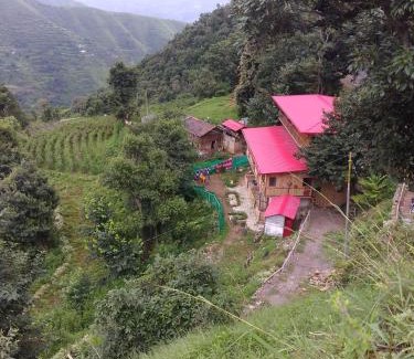 Chakrata Hotel | hotel chakrata green and camping