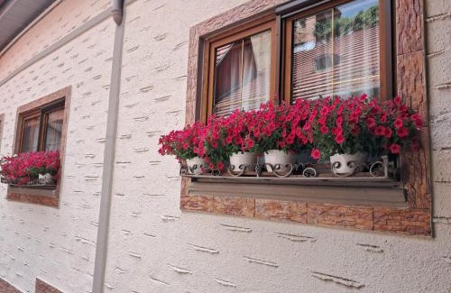 Sighisoara Hotel | Hotel Claudiu