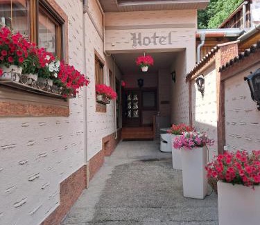 Sighisoara Hotel | Hotel Claudiu