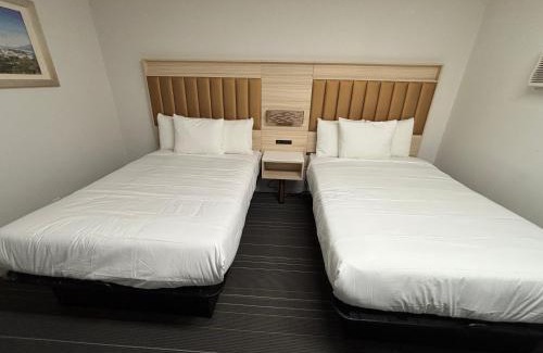 Cow Hollow Hotel | Hotel Da Vinci
