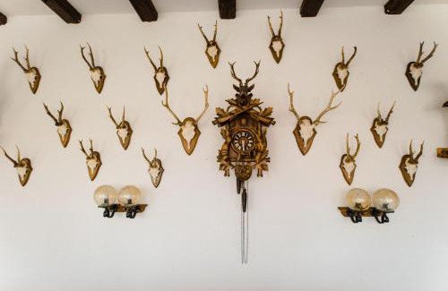 Wittenschwand Hotel | Hotel Dachsberger-Hof