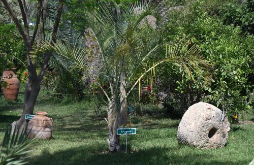 Taroudannt Hotel | Hotel Dar Zitoune Taroudant