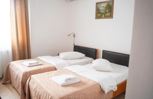 Tirgu Mures Hotel | Hotel Darina