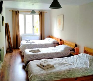 Chalus Hotel | Hotel du Centre