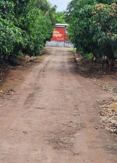 Junnar Hotel | Hotel Ekant tourist resort