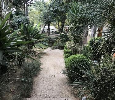 Totolapan Hotel | Hotel El Mirador y Jardin