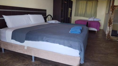 Torio Hotel | Hotel El Sol Morrillo