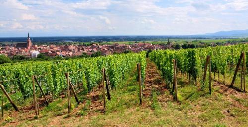 Scharrachbergheim-Irmstett Hotel | Hotel et Spa du Scharrach