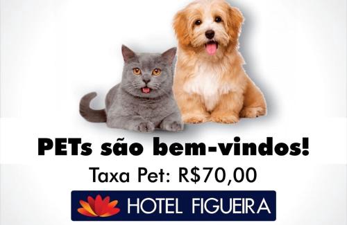 Centro Hotel | Hotel Figueira Palace