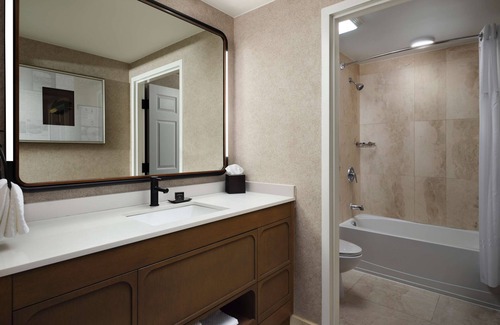 Downtown Tampa Hotel | Hotel Flor Tampa Downtown, Tapestry Collection by Hilton