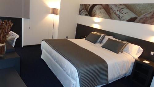 Burgos Hotel | Hotel Forum Evolución