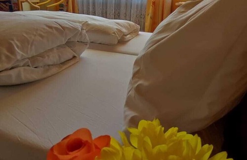 Oberharmersbach Hotel | Hotel Freihof