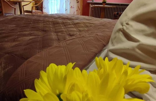 Oberharmersbach Hotel | Hotel Freihof