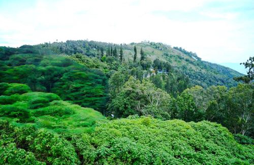 Yercaud Hotel | Hotel Gala Estancia