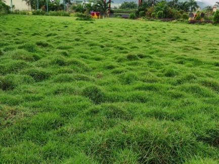 Igatpuri Apartment | Hotel Garden view