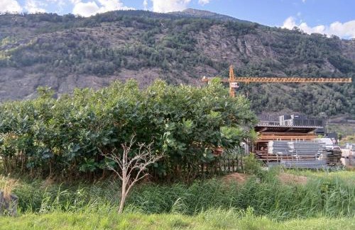 Brig Hotel | Hotel Garni