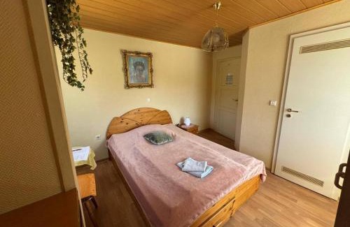 Neckarsteinach House | Hotel Garni Neckarblick