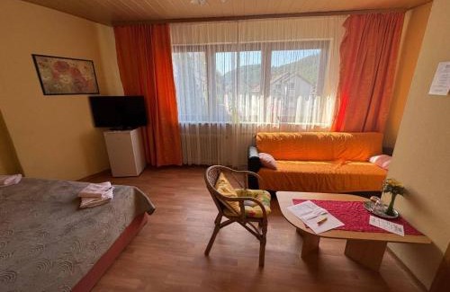 Neckarsteinach House | Hotel Garni Neckarblick