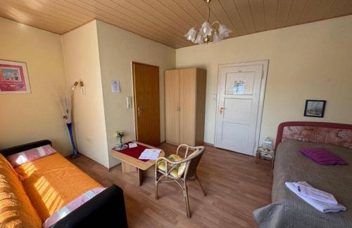 Neckarsteinach House | Hotel Garni Neckarblick
