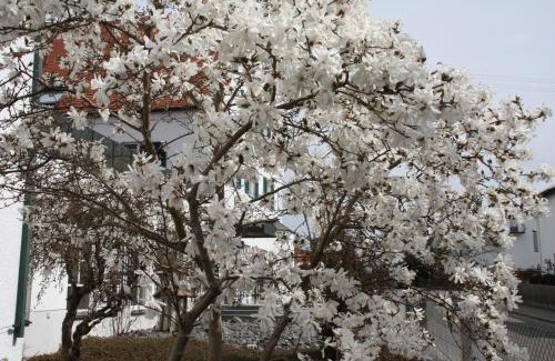 Inningen Hotel | Hotel Gasthaus Wangerhof